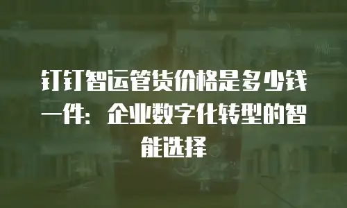 钉钉智运管货价格是多少钱一件：企业数字化转型的智能选择
