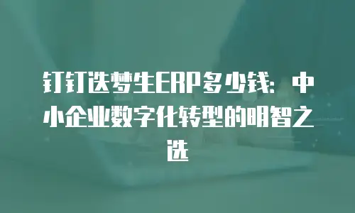 钉钉迭梦生ERP多少钱：中小企业数字化转型的明智之选