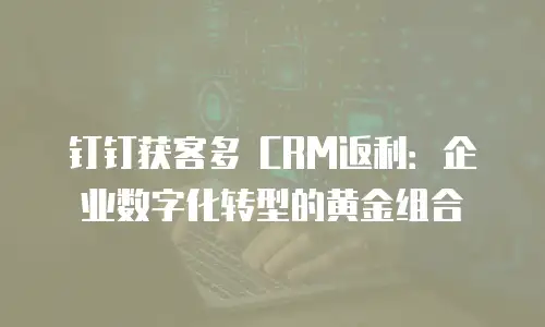 钉钉获客多 CRM返利：企业数字化转型的黄金组合