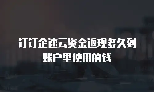 钉钉企速云资金返现多久到账户里使用的钱