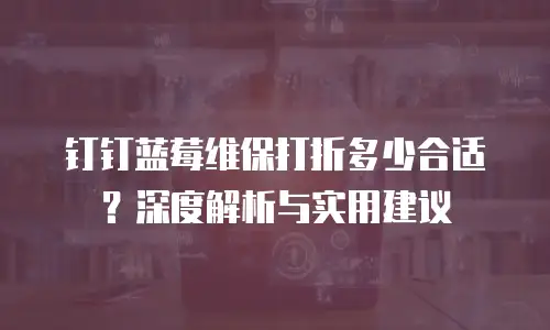 钉钉蓝莓维保打折多少合适？深度解析与实用建议