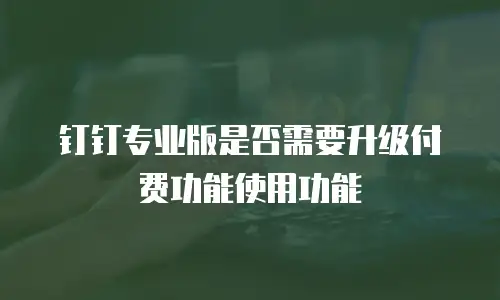 钉钉专业版是否需要升级付费功能使用功能