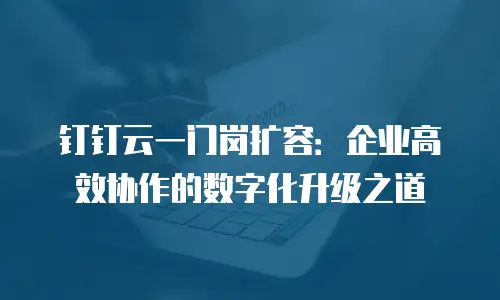 钉钉云一门岗扩容：企业高效协作的数字化升级之道