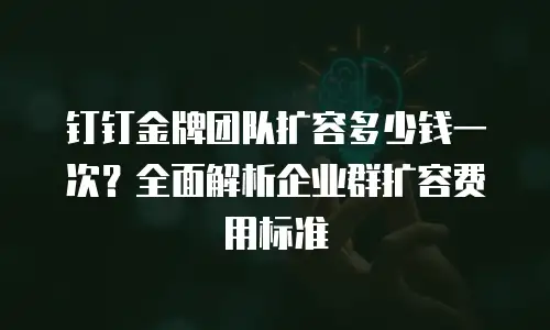 钉钉金牌团队扩容多少钱一次？全面解析企业群扩容费用标准