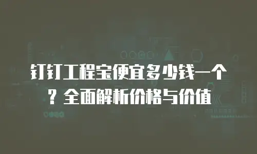 钉钉工程宝便宜多少钱一个？全面解析价格与价值