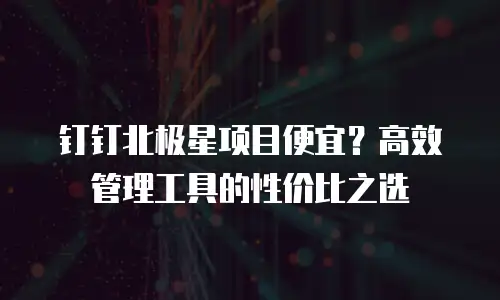 钉钉北极星项目便宜？高效管理工具的性价比之选