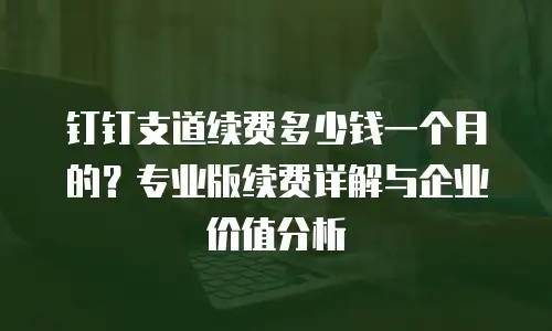 钉钉支道续费多少钱一个月的？专业版续费详解与企业价值分析