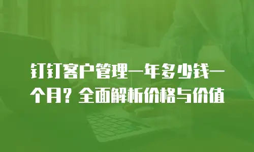 钉钉客户管理一年多少钱一个月？全面解析价格与价值