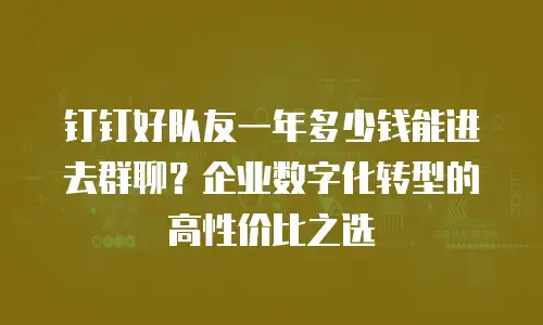 钉钉好队友一年多少钱能进去群聊？企业数字化转型的高性价比之选