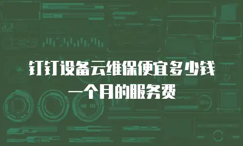 钉钉设备云维保便宜多少钱一个月的服务费