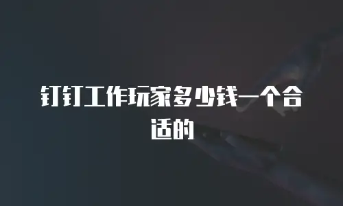 钉钉工作玩家多少钱一个合适的