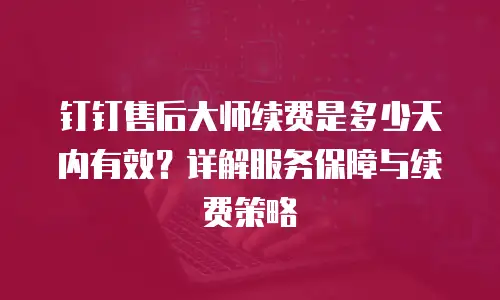 钉钉售后大师续费是多少天内有效？详解服务保障与续费策略