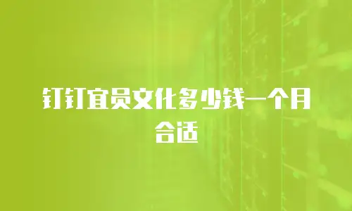 钉钉宜员文化多少钱一个月合适
