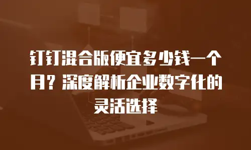 钉钉混合版便宜多少钱一个月？深度解析企业数字化的灵活选择
