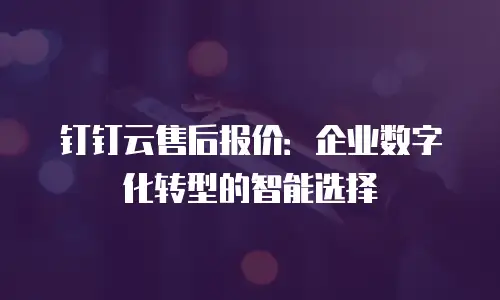 钉钉云售后报价：企业数字化转型的智能选择