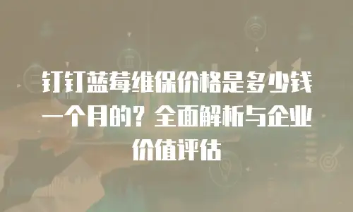 钉钉蓝莓维保价格是多少钱一个月的？全面解析与企业价值评估