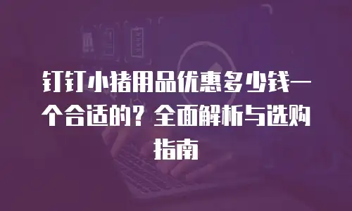 钉钉小猪用品优惠多少钱一个合适的？全面解析与选购指南