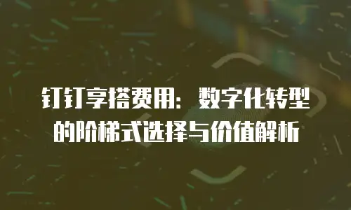 钉钉享搭费用：数字化转型的阶梯式选择与价值解析