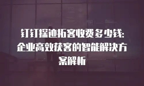 钉钉探迹拓客收费多少钱：企业高效获客的智能解决方案解析