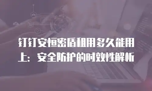 钉钉安恒密盾租用多久能用上：安全防护的时效性解析