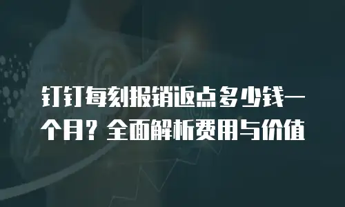 钉钉每刻报销返点多少钱一个月？全面解析费用与价值