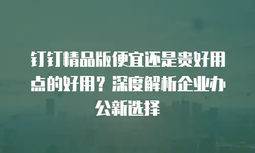 钉钉精品版便宜还是贵好用点的好用？深度解析企业办公新选择