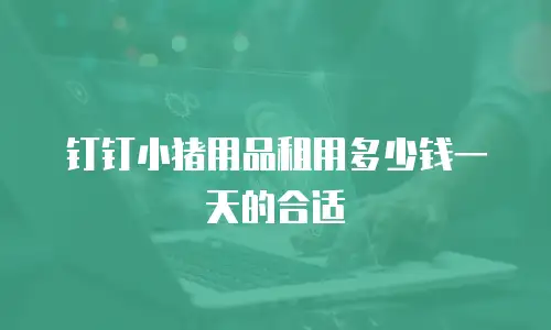 钉钉小猪用品租用多少钱一天的合适