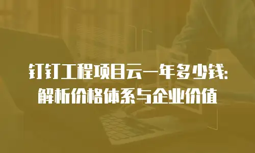 钉钉工程项目云一年多少钱：解析价格体系与企业价值