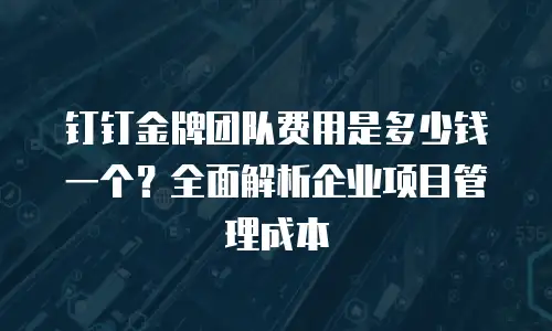 钉钉金牌团队费用是多少钱一个？全面解析企业项目管理成本