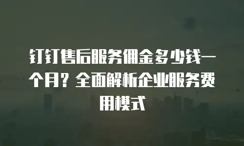 钉钉售后服务佣金多少钱一个月？全面解析企业服务费用模式