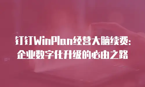 钉钉WinPlan经营大脑续费：企业数字化升级的必由之路