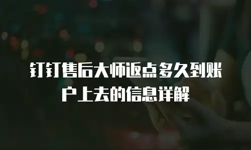 钉钉售后大师返点多久到账户上去的信息详解