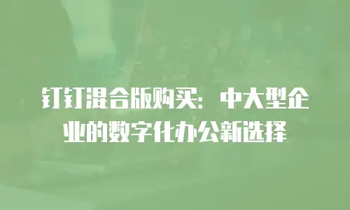 钉钉混合版购买：中大型企业的数字化办公新选择