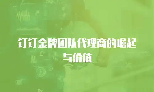 钉钉金牌团队代理商的崛起与价值