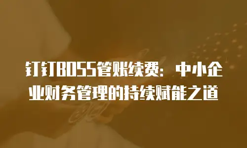 钉钉BOSS管账续费：中小企业财务管理的持续赋能之道