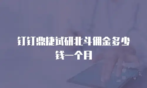 钉钉鼎捷试研北斗佣金多少钱一个月