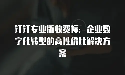 钉钉专业版收费标：企业数字化转型的高性价比解决方案