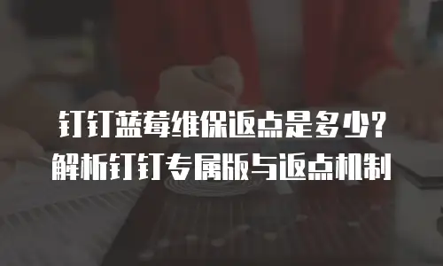 钉钉蓝莓维保返点是多少？解析钉钉专属版与返点机制