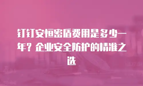 钉钉安恒密盾费用是多少一年？企业安全防护的精准之选