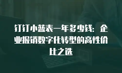 钉钉小蓝表一年多少钱：企业报销数字化转型的高性价比之选