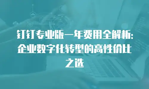 钉钉专业版一年费用全解析：企业数字化转型的高性价比之选