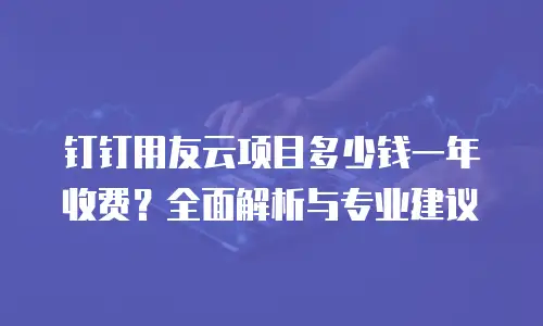 钉钉用友云项目多少钱一年收费？全面解析与专业建议