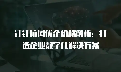 钉钉杭网优企价格解析：打造企业数字化解决方案