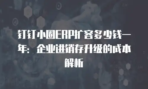 钉钉小圈ERP扩容多少钱一年：企业进销存升级的成本解析