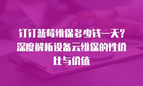 钉钉蓝莓维保多少钱一天？深度解析设备云维保的性价比与价值