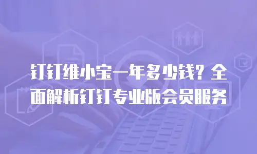 钉钉维小宝一年多少钱？全面解析钉钉专业版会员服务