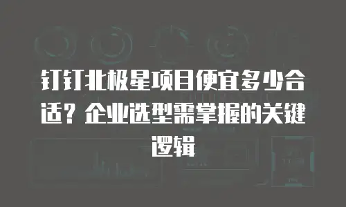 钉钉北极星项目便宜多少合适？企业选型需掌握的关键逻辑