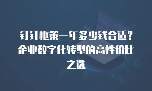 钉钉枢策一年多少钱合适？企业数字化转型的高性价比之选
