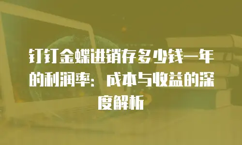 钉钉金蝶进销存多少钱一年的利润率：成本与收益的深度解析