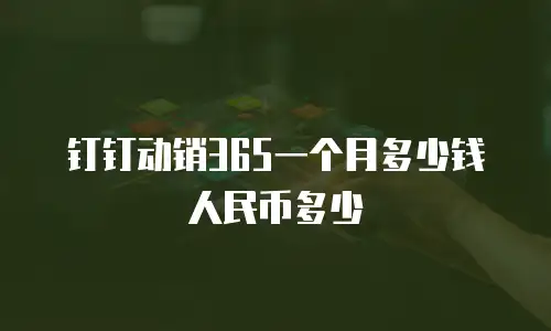 钉钉动销365一个月多少钱人民币多少